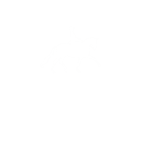 Nallhead Studs